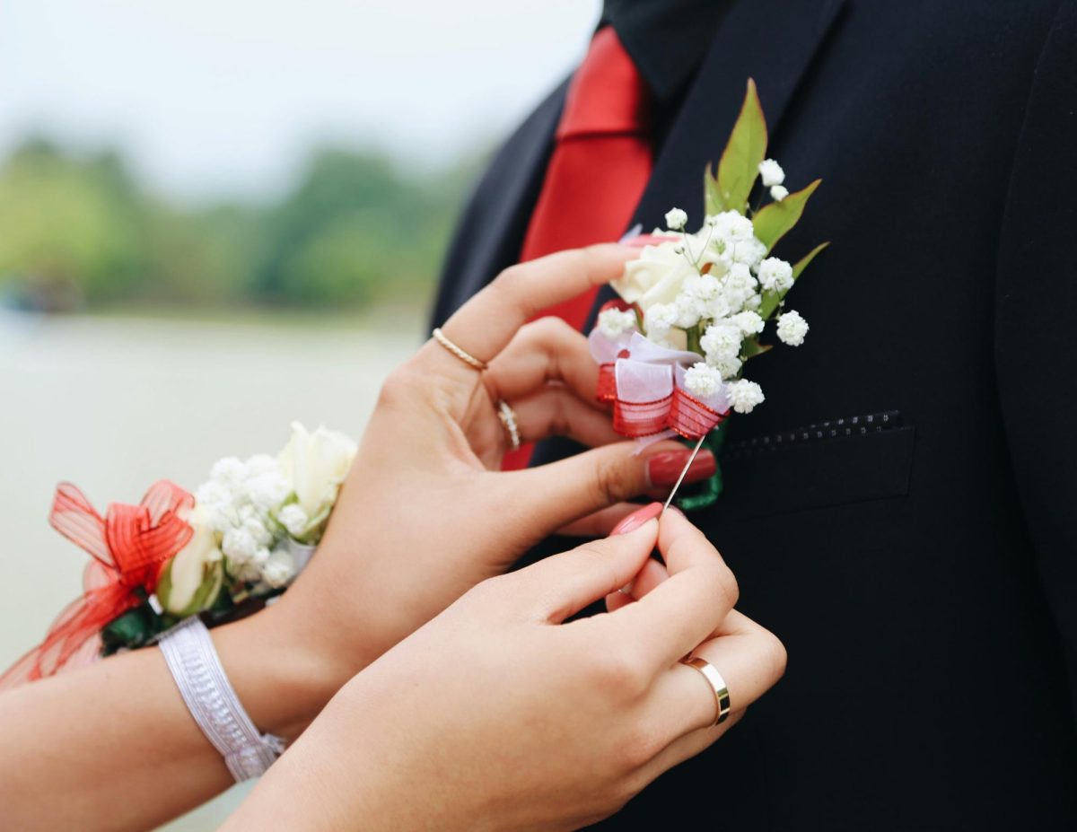 Photo by Toria / Unsplash